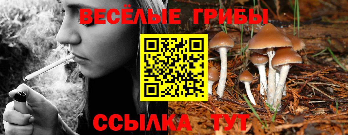Таганрог  Псилоцибиновые грибы прущие грибы  закладки  Вход с VPN 